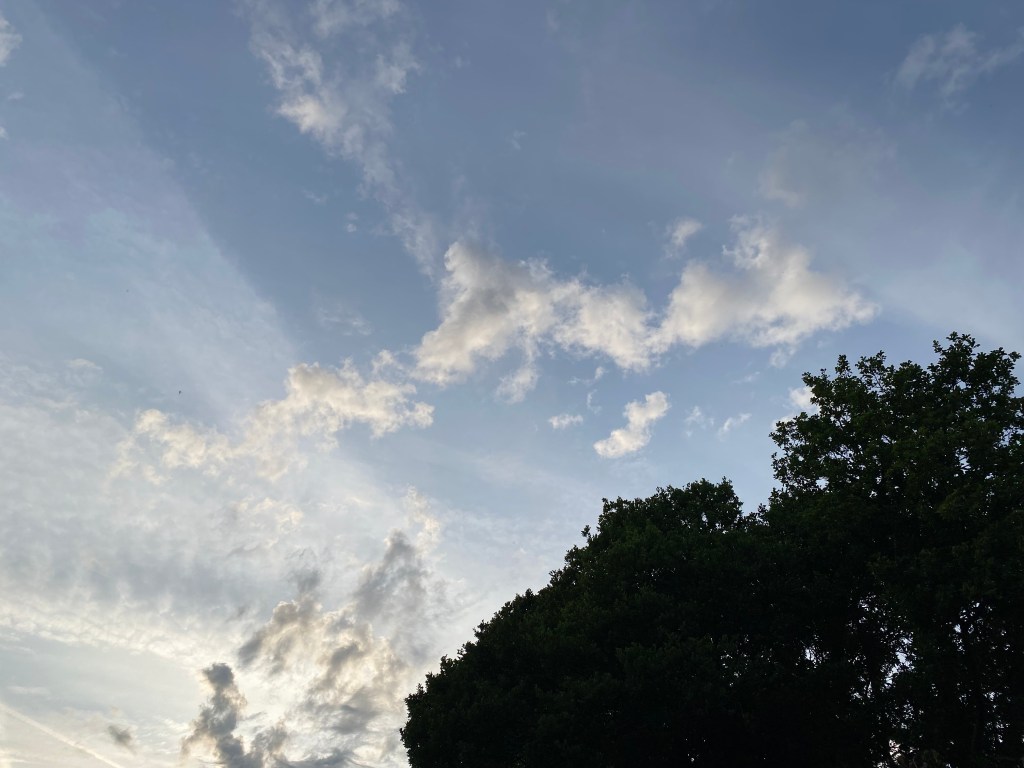 Sky, clouds, and trees.