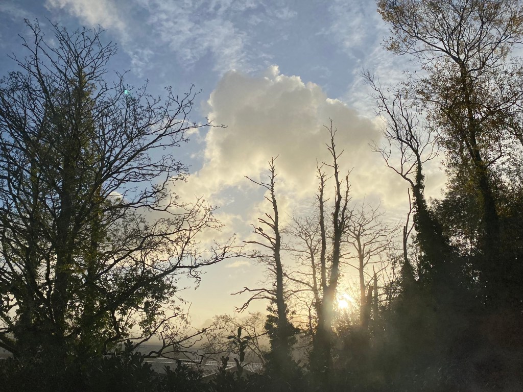 Misty morning in Totnes.