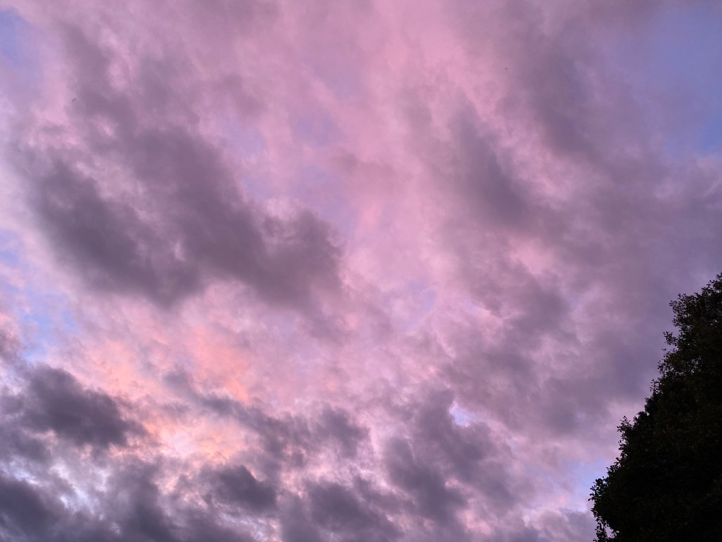 Colourful sunset over Totnes.