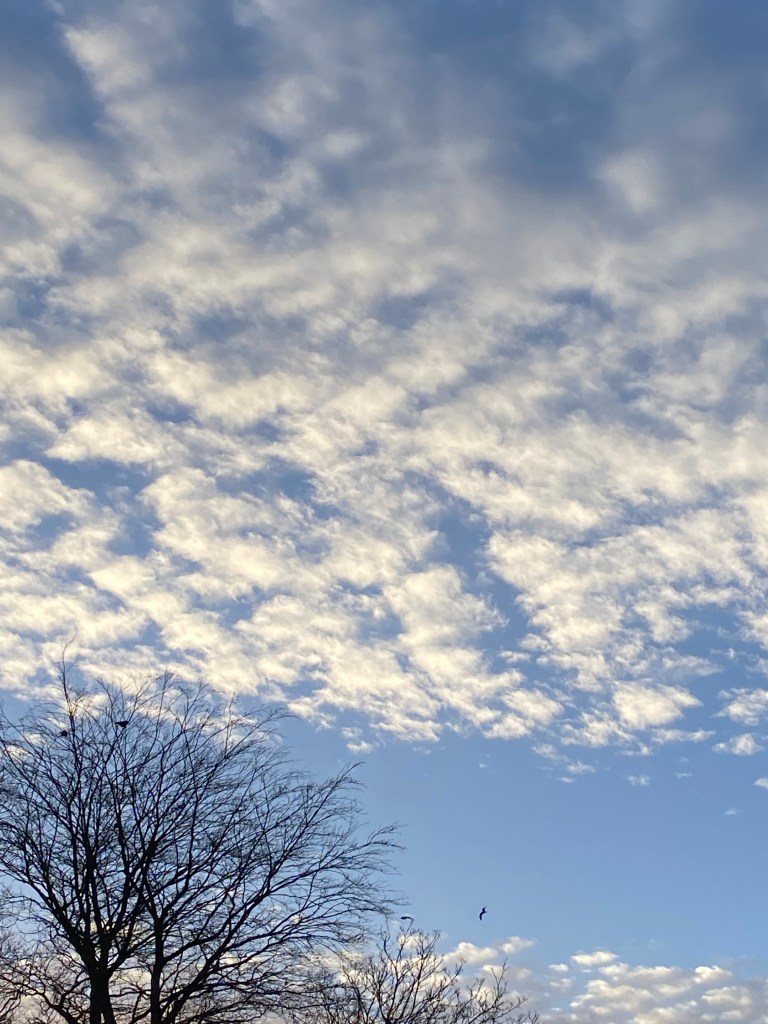 Another cloudy sky over Totnes.