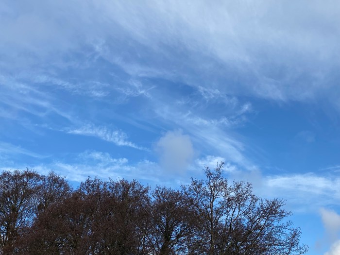 Clouds above the trees. 