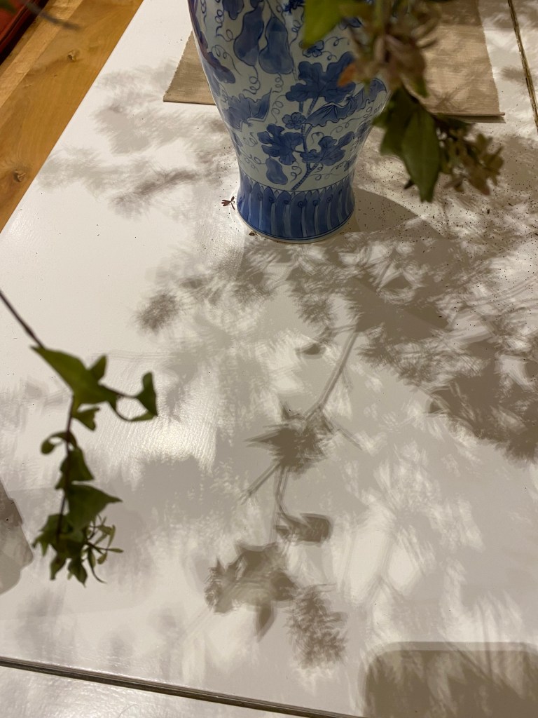 Shadows of a vase and flowers.