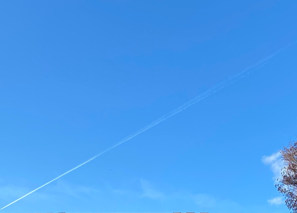 Plane vapour across the sky. 