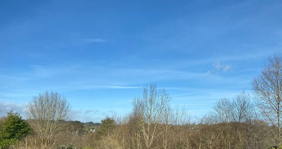 Landscape towards Dartington, Totnes.