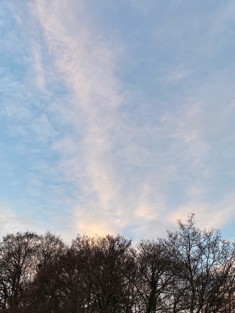 Pinkish cloud over the trees.