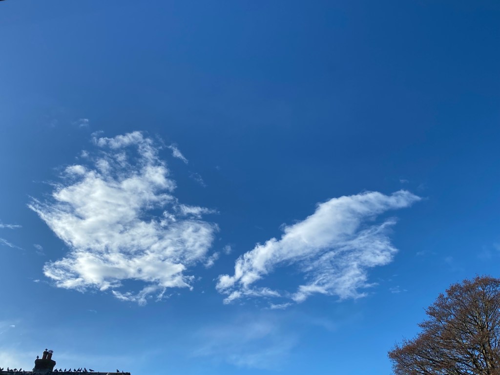 Soft clouds in a blue sky.