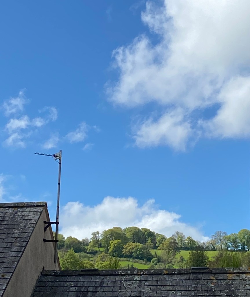 Sharpham Hill behind a rooftop.