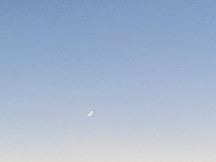 Newish moon.