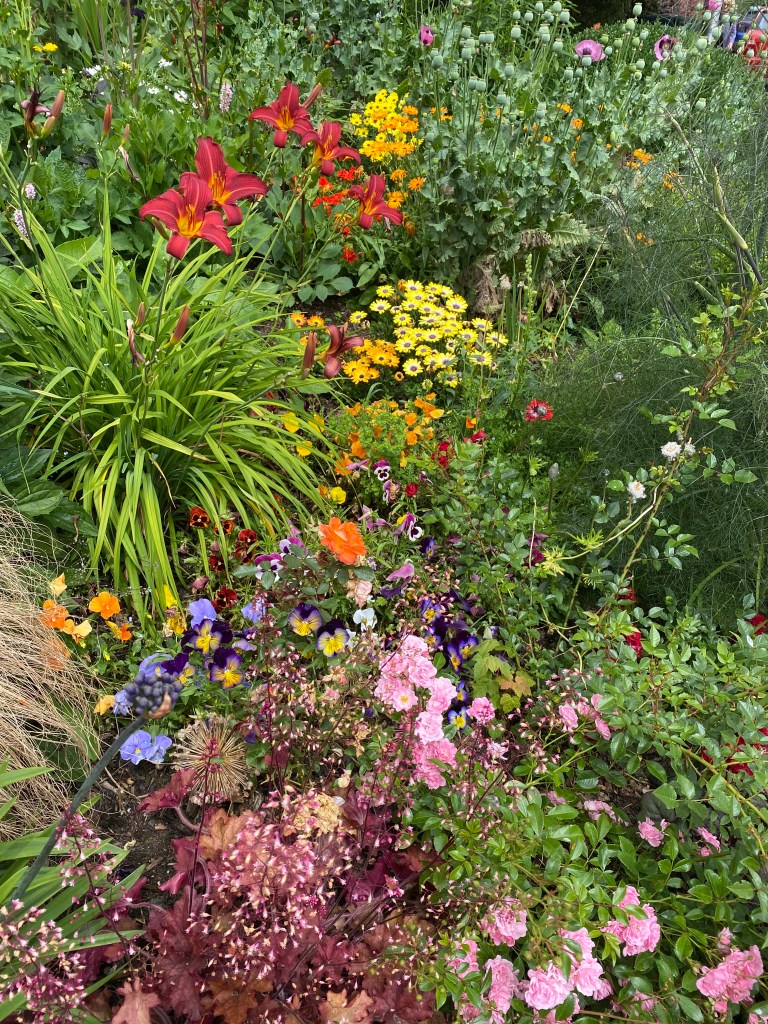Mixed flowerbed.