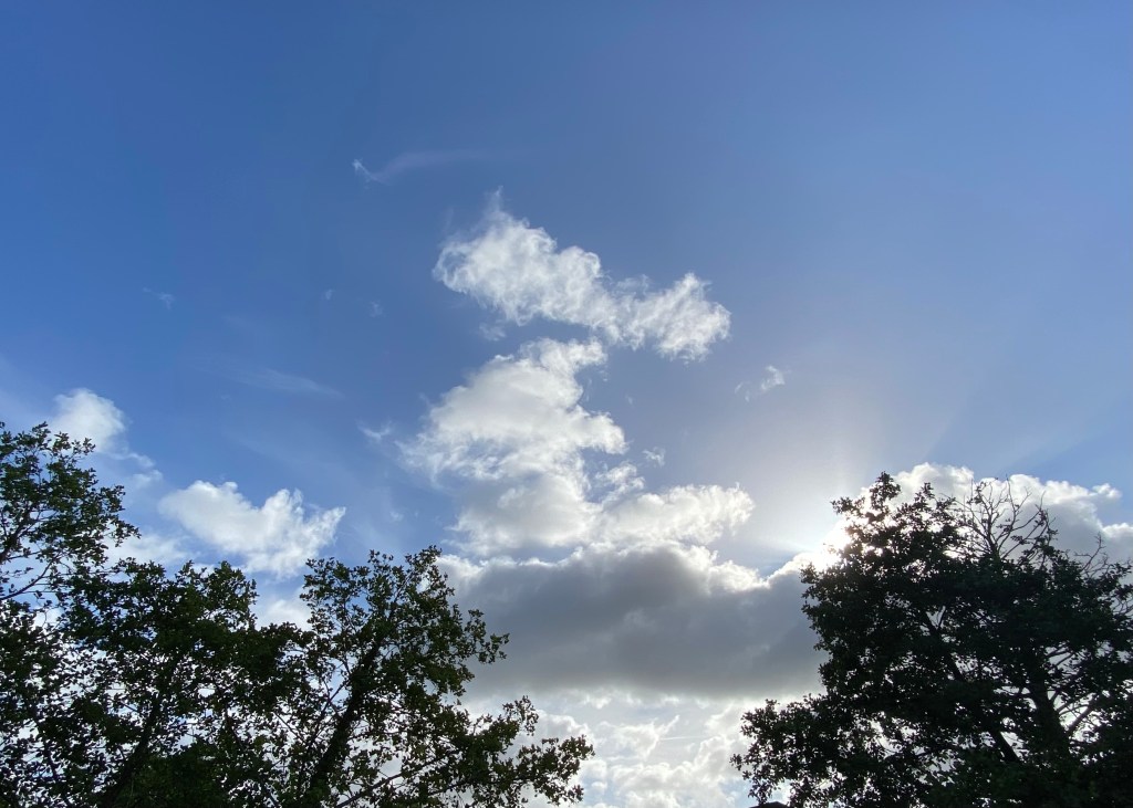 Trees, clouds, and blue sky.