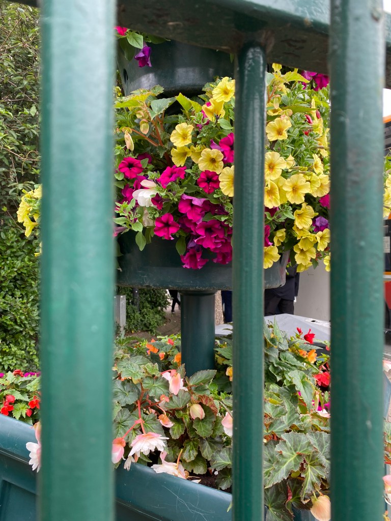 Flower hanging boxes.