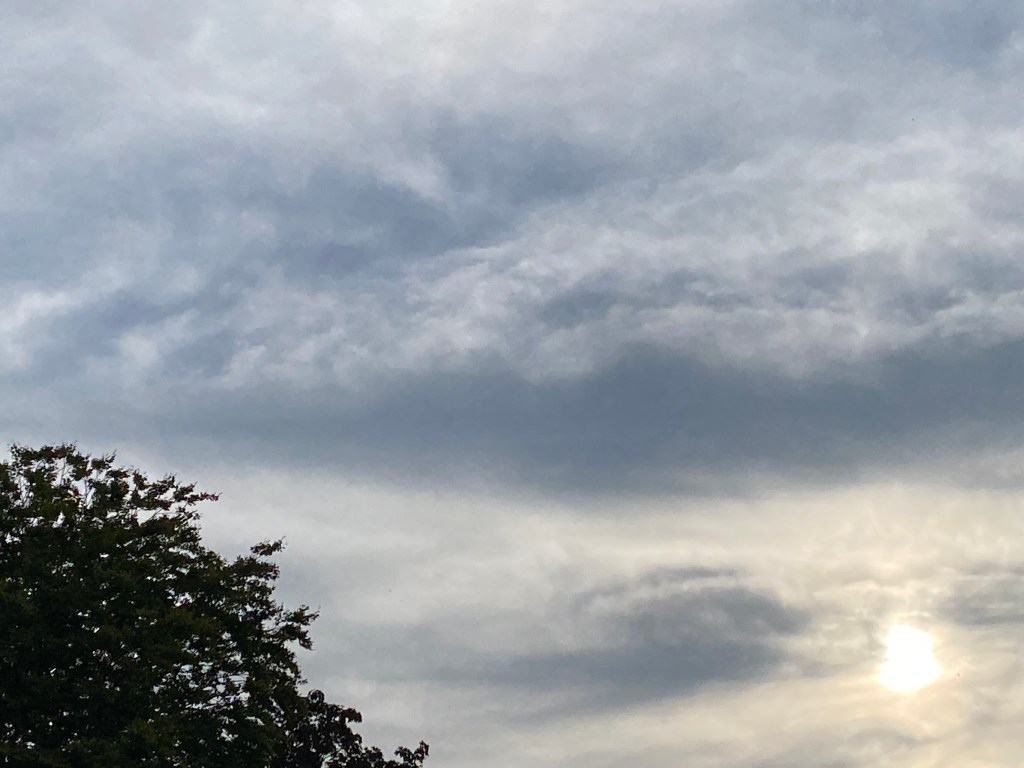 Grey sky.