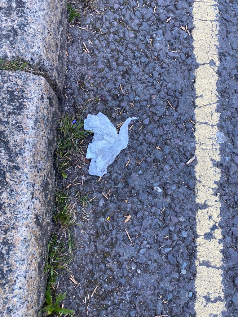 An abandoned hanky set like a bird in flight, look closely and you might see a cat.