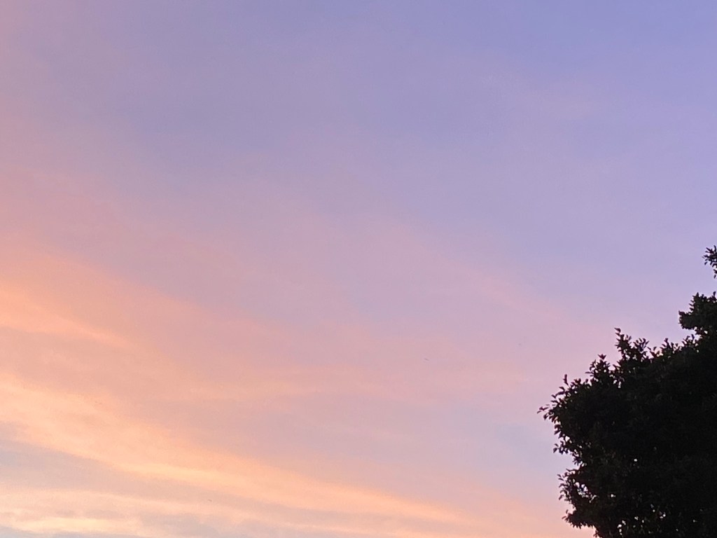 Clouds coloured pink, purple, and blue by the evening sun.