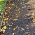 Autumn leaves by the kerb.