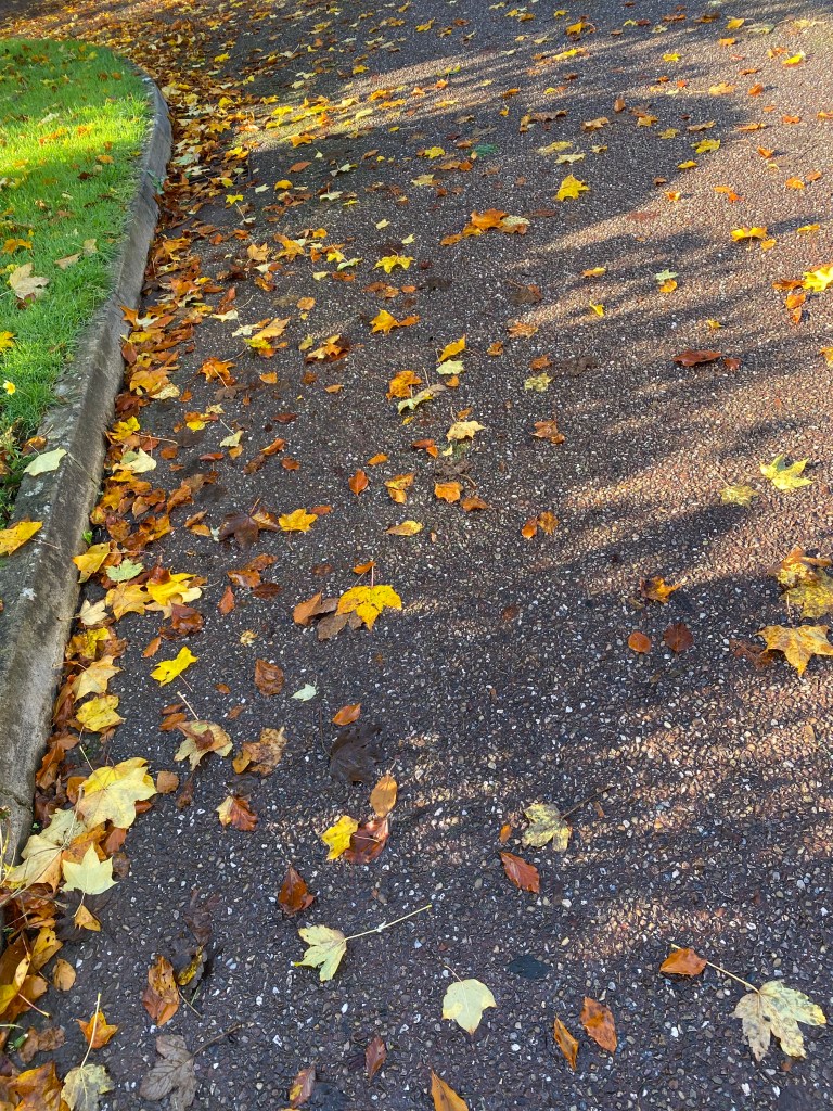 Autumn leaves by the kerb.