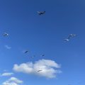 Seagulls putting on an aerial show.