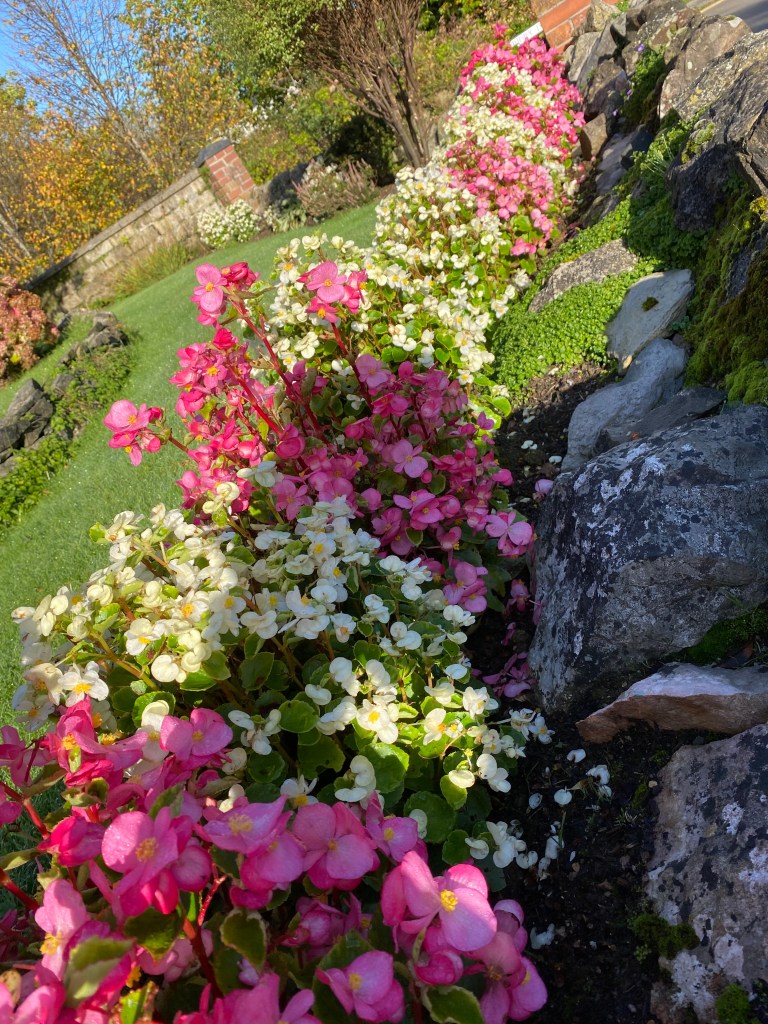 Multicoloured boarder.