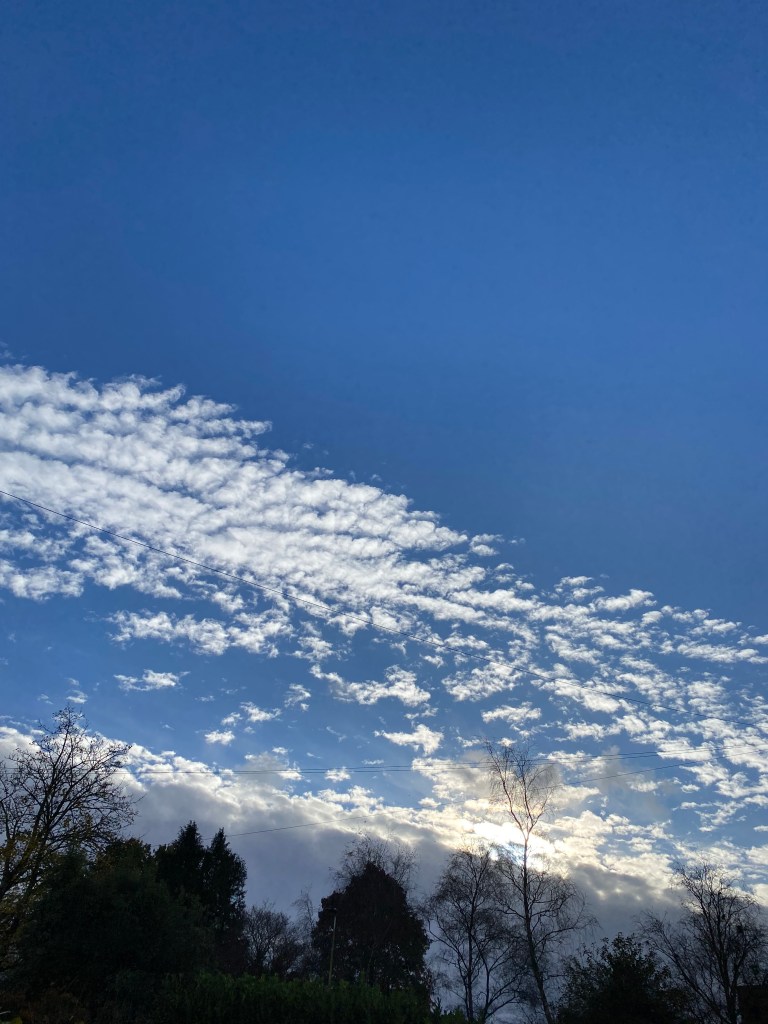 Clouds putting on a show above the trees.
