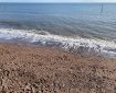 Wave breaks on the Teignmouth beach.