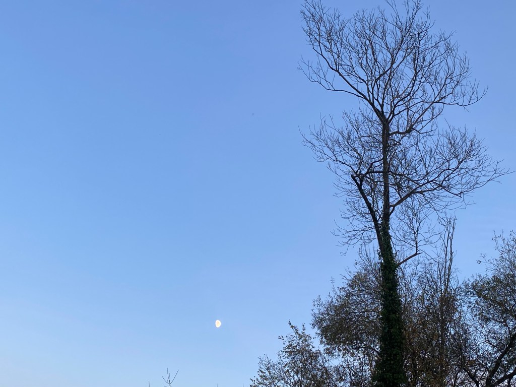 Moon in the morning.