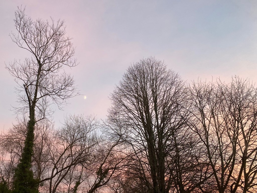 Orange pink morning sky.