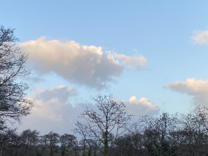 Silhouette Tree line under the sky.