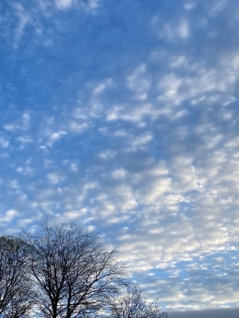 Floating clouds.

Morning Meditation: Knowing mind as no-mind, neither ill nor medicine.
In confused times all matters, though troubling, are not different.
Originally nothing to grasp, why then use remedies?
Though magic shows exist, they're empty appearances.
Zen Master Niutou