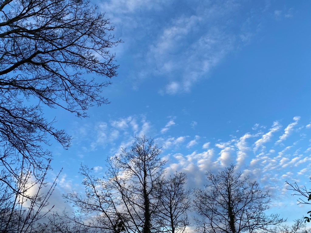 When we cling to a fixed idea of self