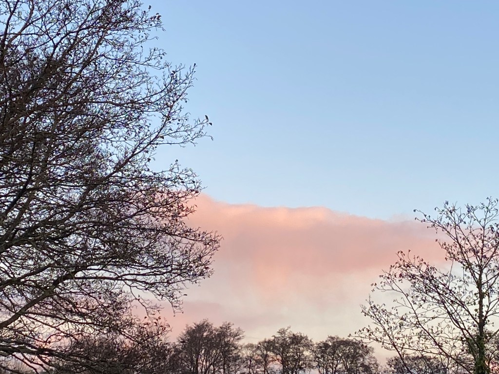 A colourful morning sky over Totnes.