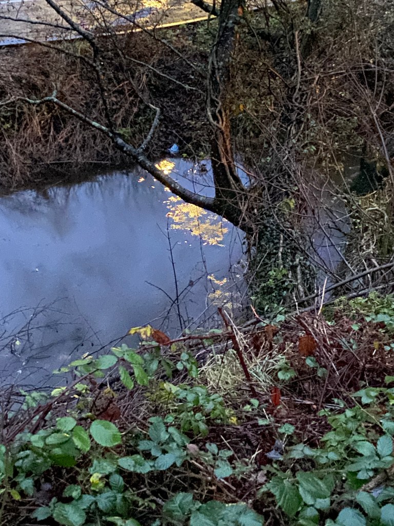 Light reflecting on the Totnes leat.