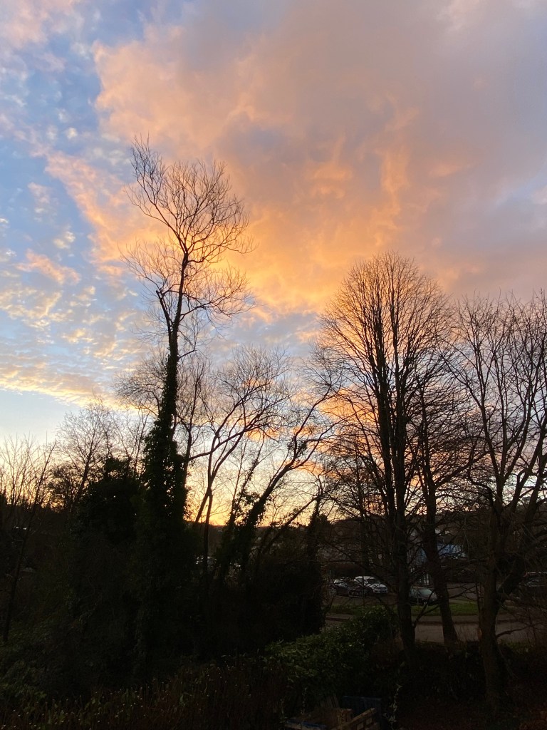 Morning over Totnes.