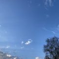 Sky, small clouds, and a tree.