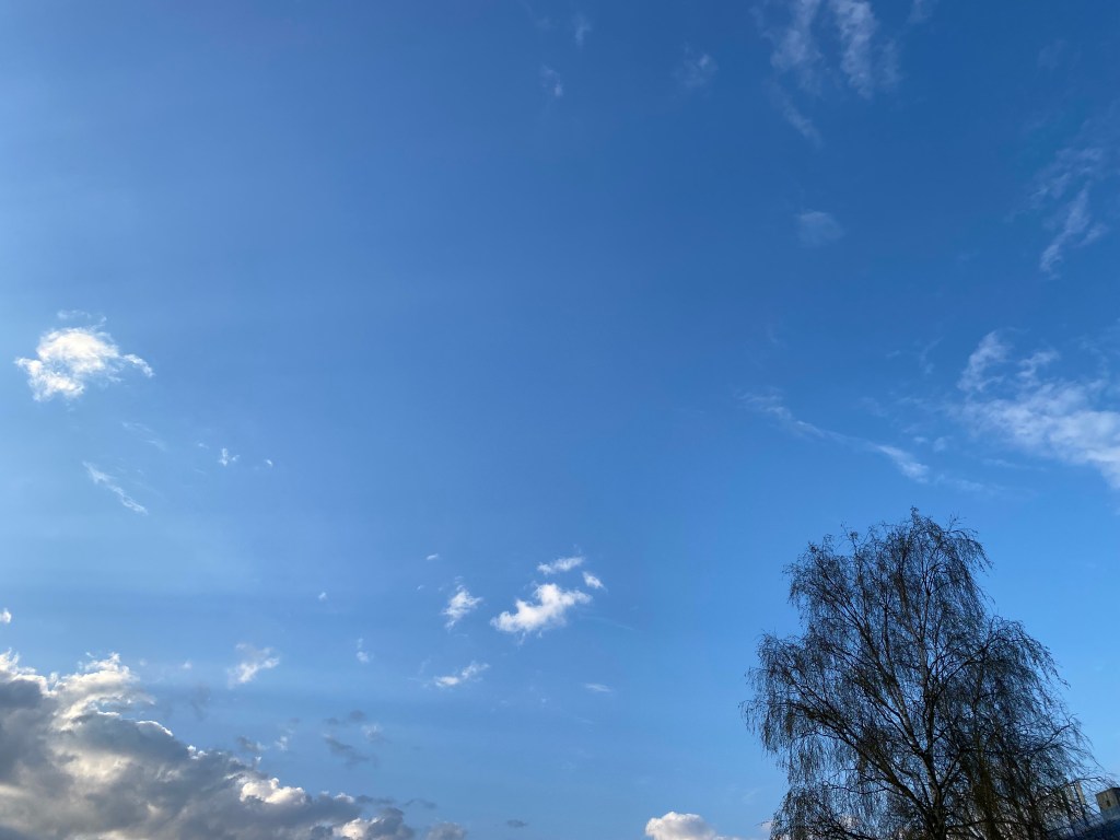 Sky, small clouds, and a tree.