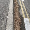 Kerb with pine coat, Pine needles, and double yellow lines.