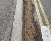 Kerb with pine coat, Pine needles, and double yellow lines.