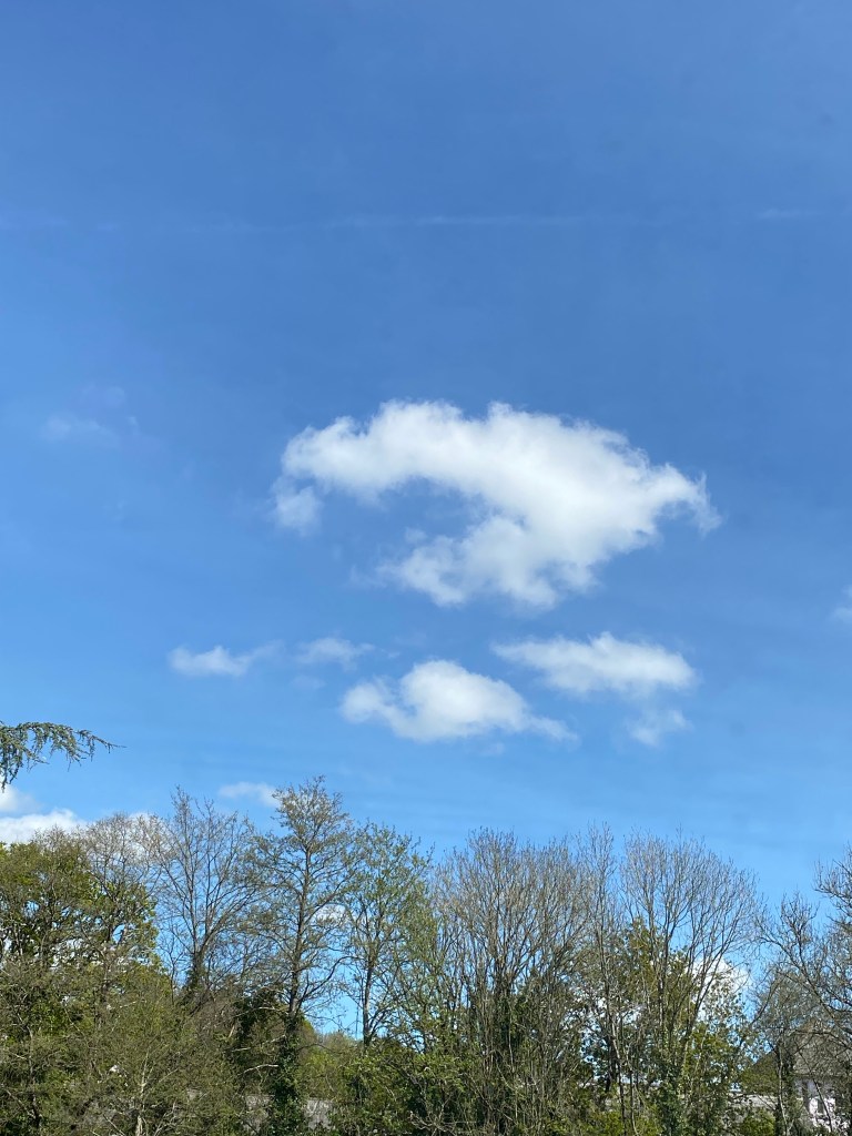 Lovely clouds above the trees.