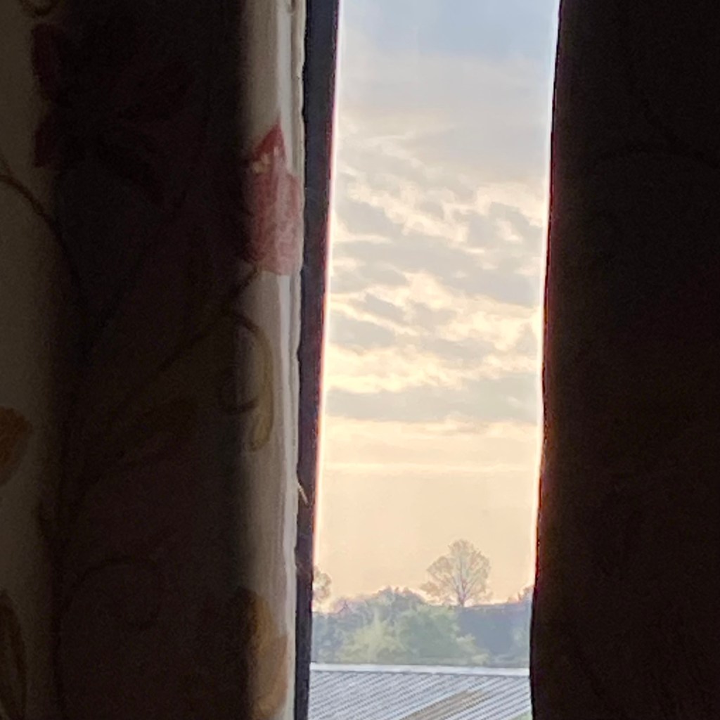 An early morning view, just after pulling back the curtains.