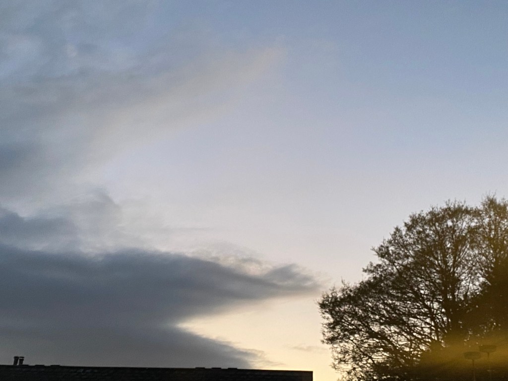 Sharp clouds in an evening sky.