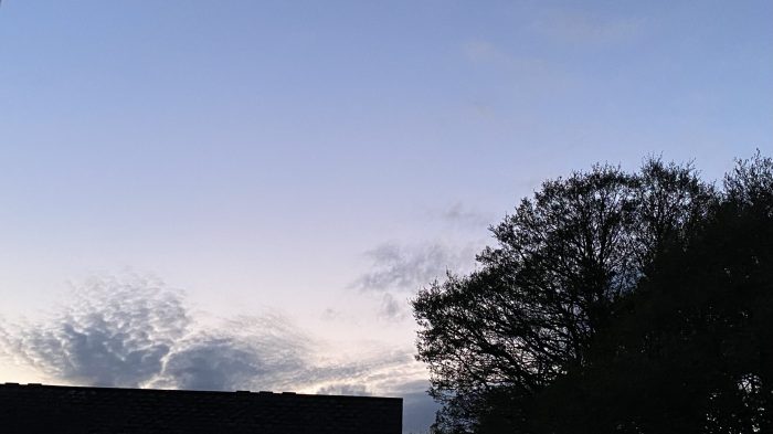 Vast sky with clouds putting on a splendid show above a fringe of stately trees.