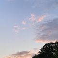 Colourful clouds in an evening shy.