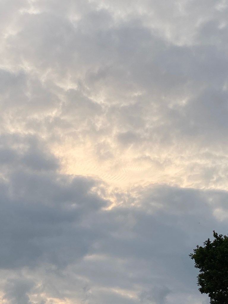 A sky full of grey clouds, with faint, almost fingerprint-like wisps catching the sunlight.