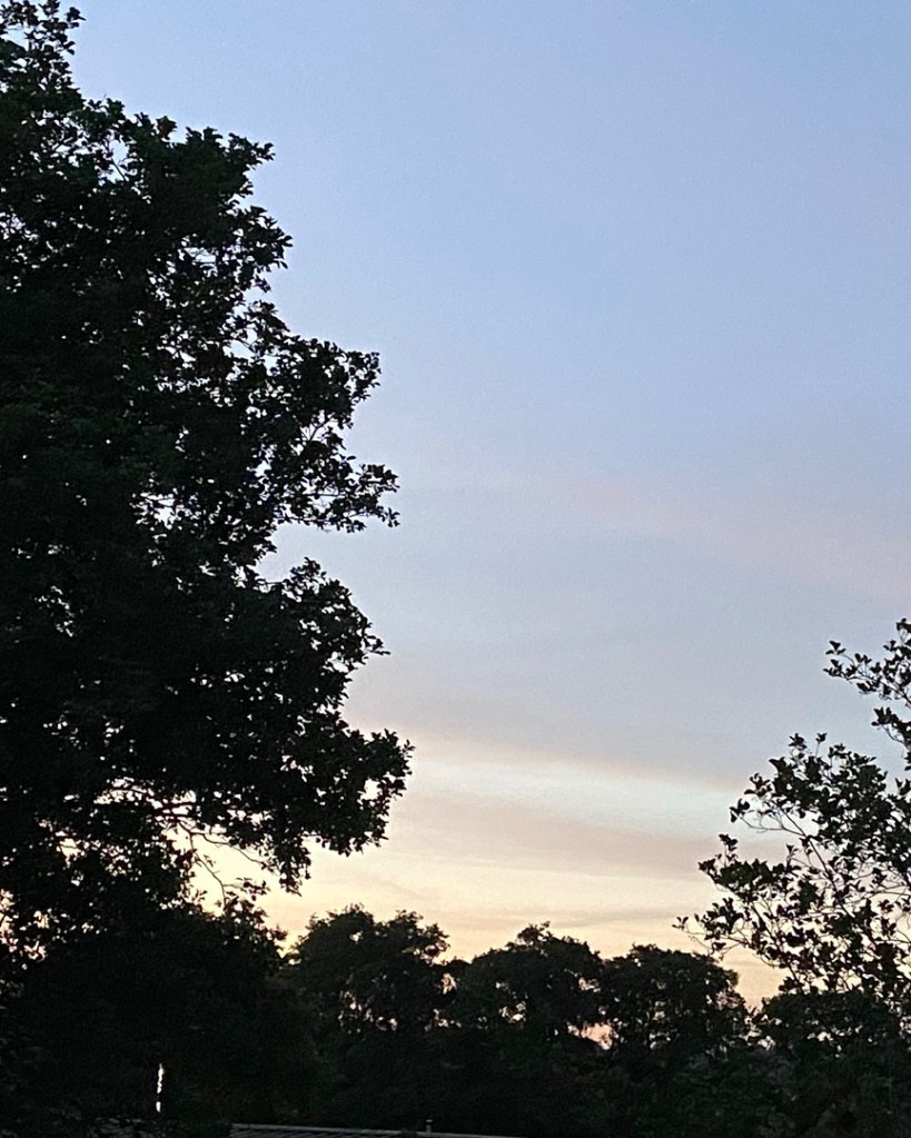 Morning sky over Totnes.