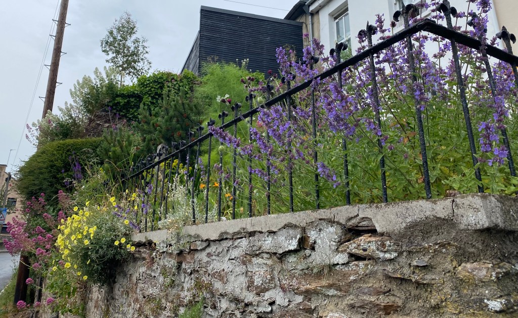 A Totnes front garden.
