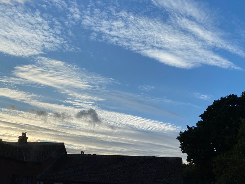 Evening sky with some fabulous clouds.