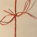 Paper tied up in Red string.