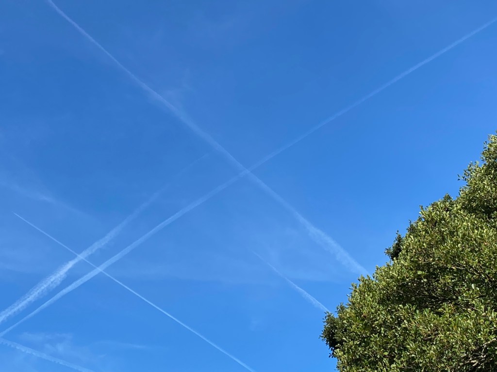 We can experience pain, joy, love,