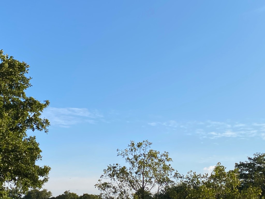A big sky with a wispy cloud drifting over the trees.