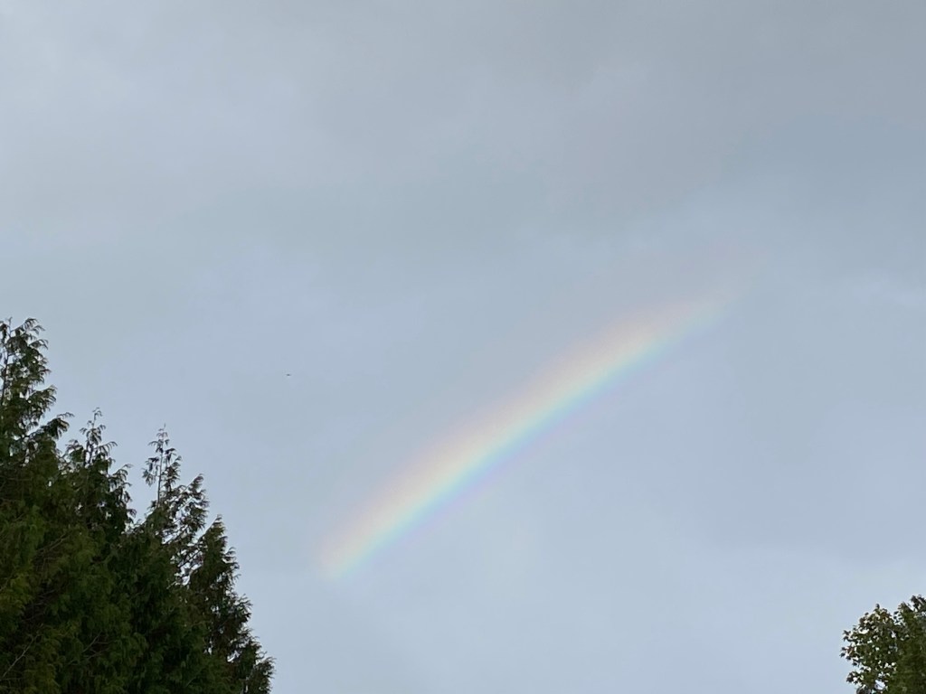 Rainbow over Totnes.