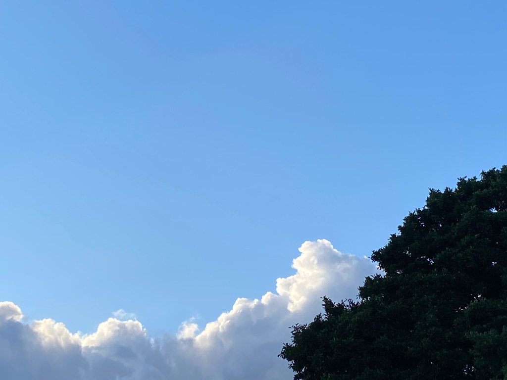 Trees, clouds, and a big sky.
